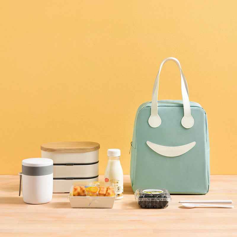 Insulated Lunch Tiffin Carry Bag ( 1pc )