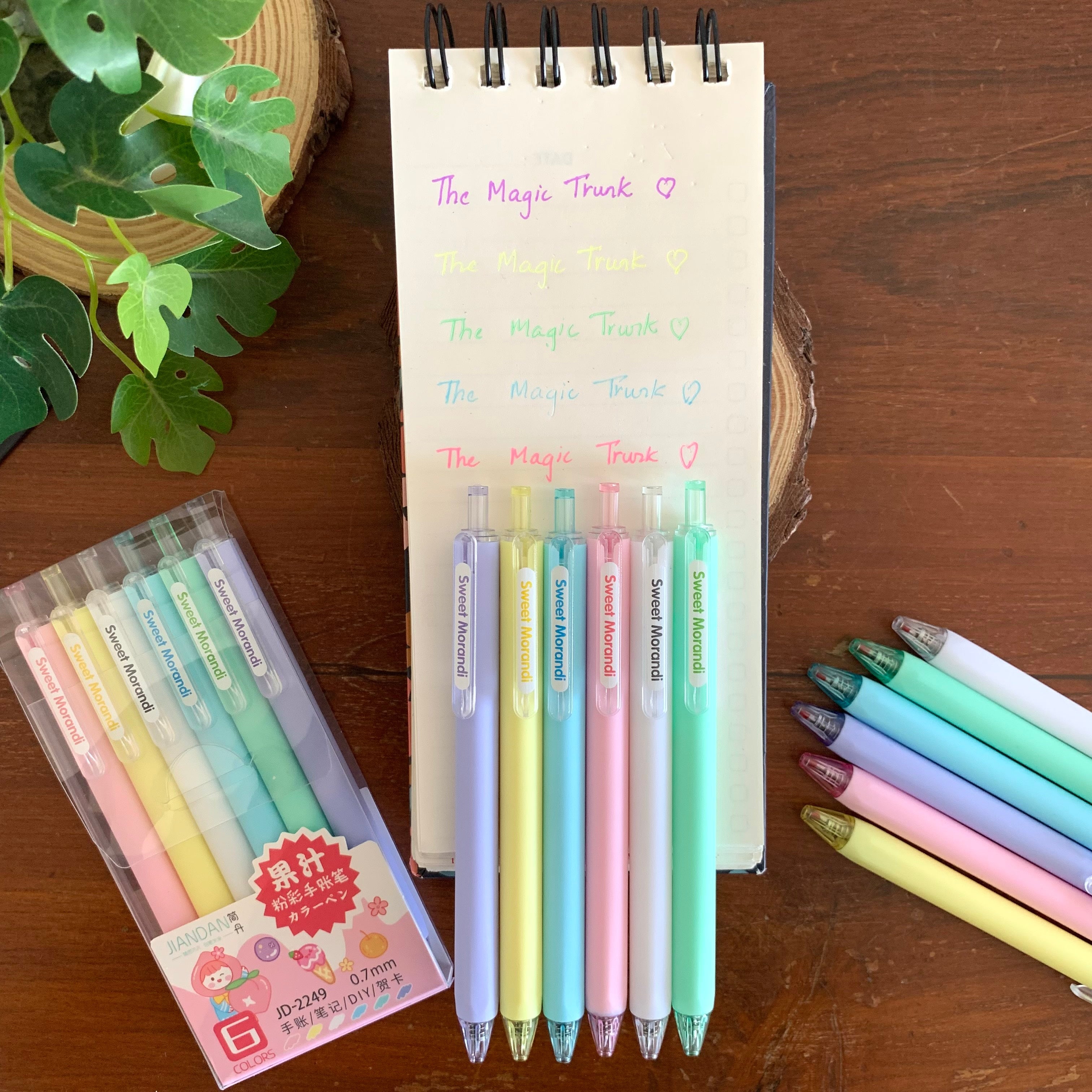 Pastel Color Gel Pen Set ( 6 pcs )