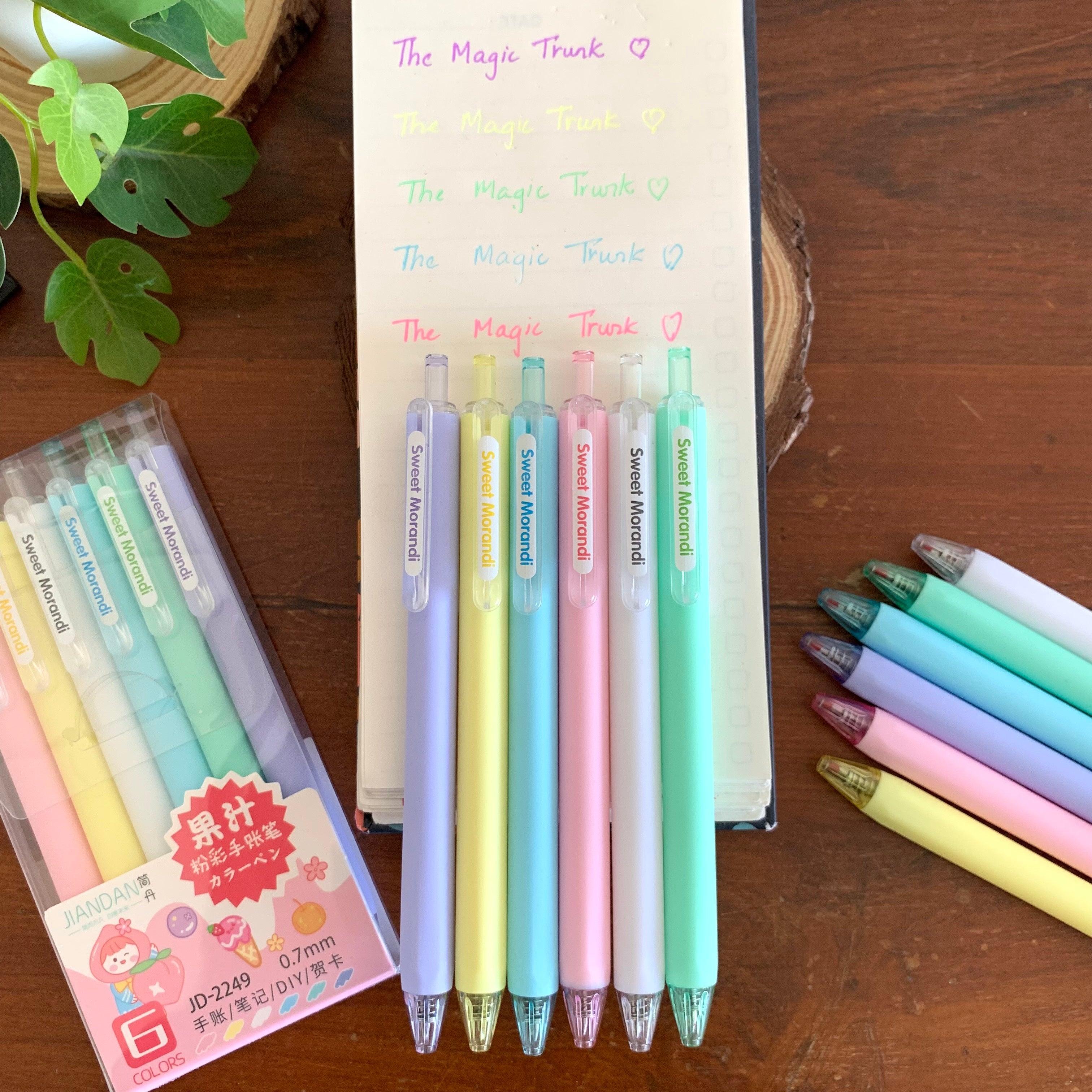 Pastel Color Gel Pen Set ( 6 pcs )